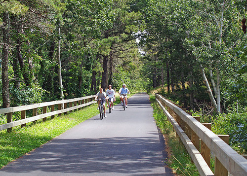 The Nauset Bike Trail ---  One of many bike trails here on the Cape.