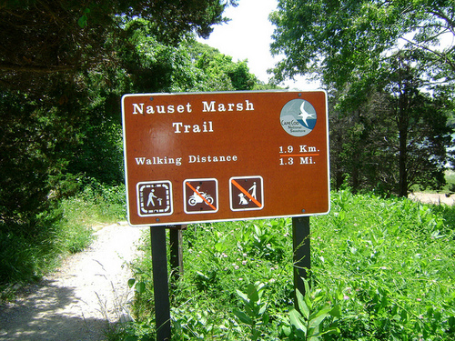 Nauset Marsh Trail